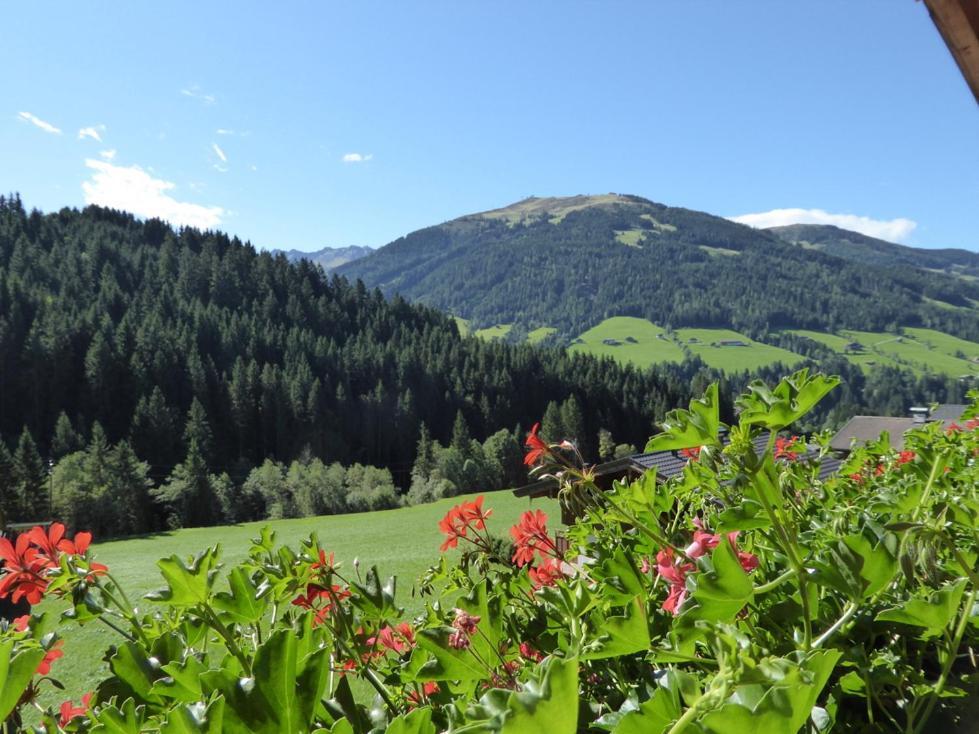 Alpbacher Appartementhaus Johannes Bagian luar foto